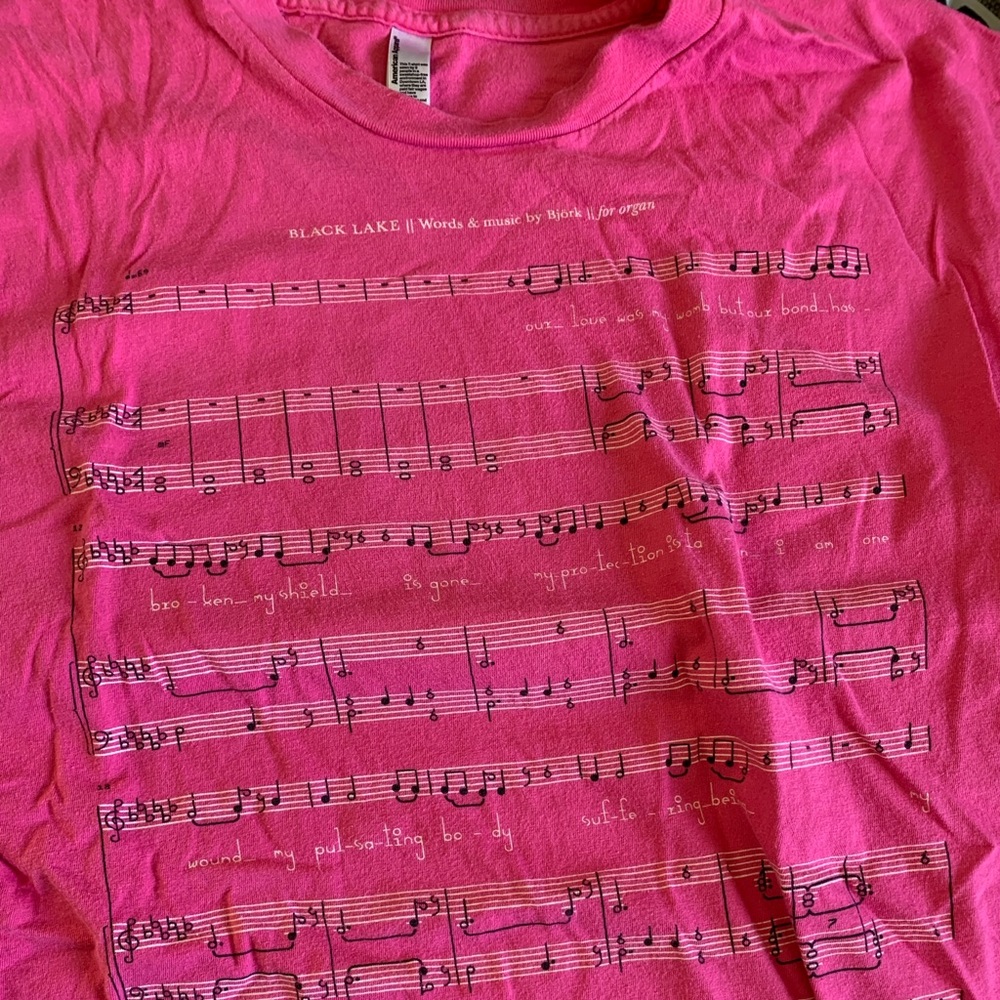 Bjork museum “Black Lake” T-shirt, XL size